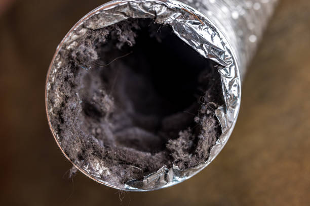 Best Air Duct Cleaning Near Me  in Red Lake, AZ
