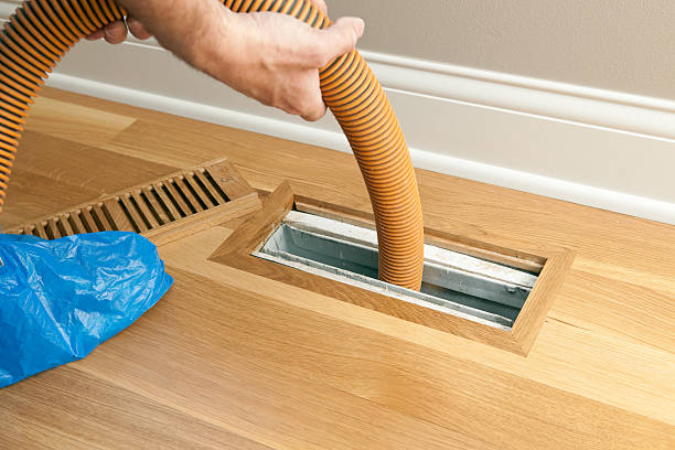 Best Residential Air Duct Cleaning  in Red Lake, AZ
