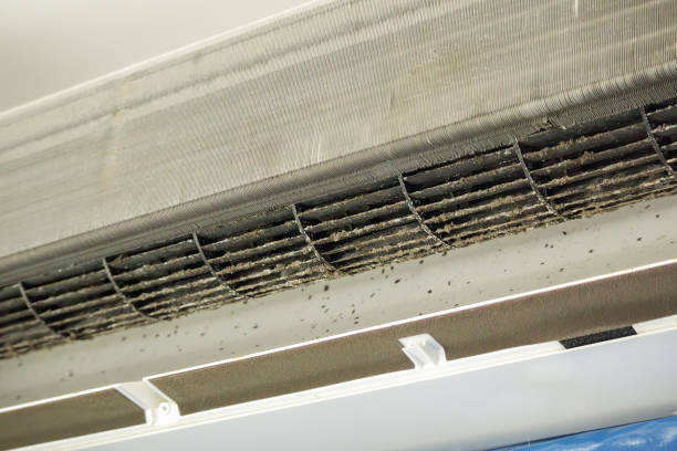 Best HVAC Duct Inspection Services  in Red Lake, AZ