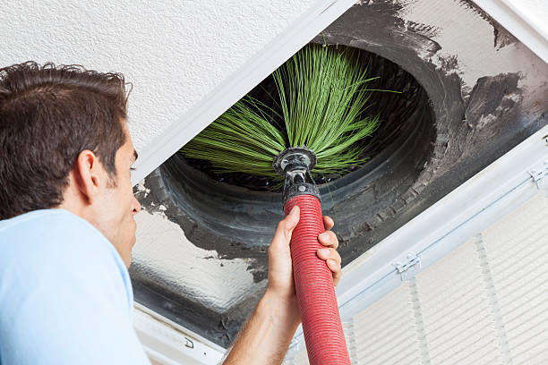 Best Dryer Vent Cleaning Services  in Red Lake, AZ